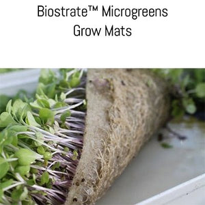 Biostrate™ Microgreens Grow Mats (Retail Pack of 10 sheets)