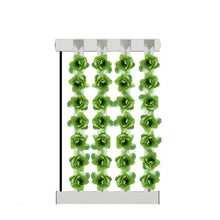 Load image into Gallery viewer, 4-Tower ZipGrow™ Farm Wall (5ft / 1.5m height)