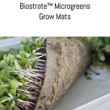 Load image into Gallery viewer, Biostrate™ Microgreens Grow Mats (Retail Pack of 10 sheets)