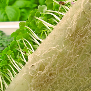 Biostrate™ Microgreens Grow Mats (Retail Pack of 10 sheets)